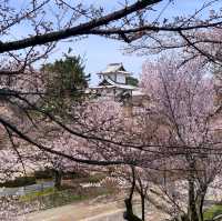 Spring in Kanazawa