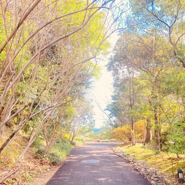 四季折々の花が見られる！牧野植物園