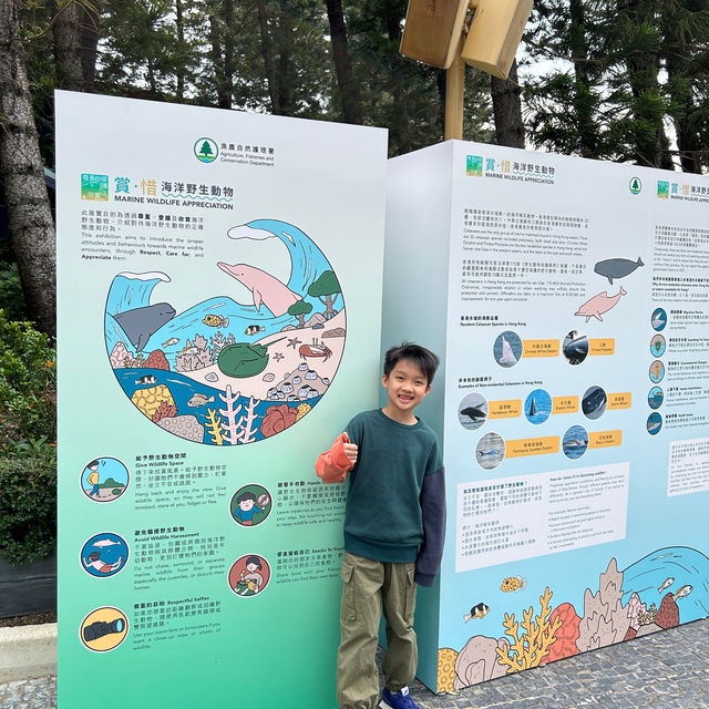 【 從小教導孩子用正確態度去守護海洋生物 】