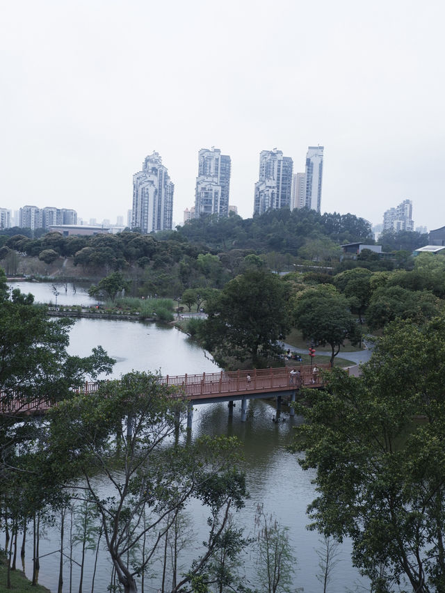 城市中的綠洲，珠海香山湖