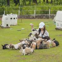คาเฟ่กระต่ายที่น่ารักที่สุดใน ‘ราชบุรี’