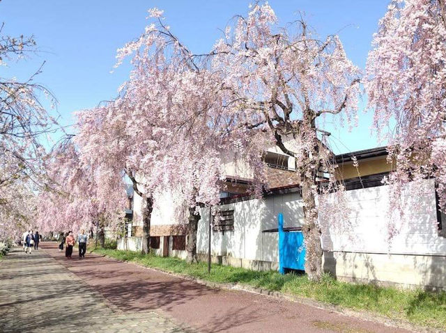 Nitchu Line Walkway