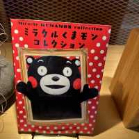 熊本市一天遊正式開始🥰