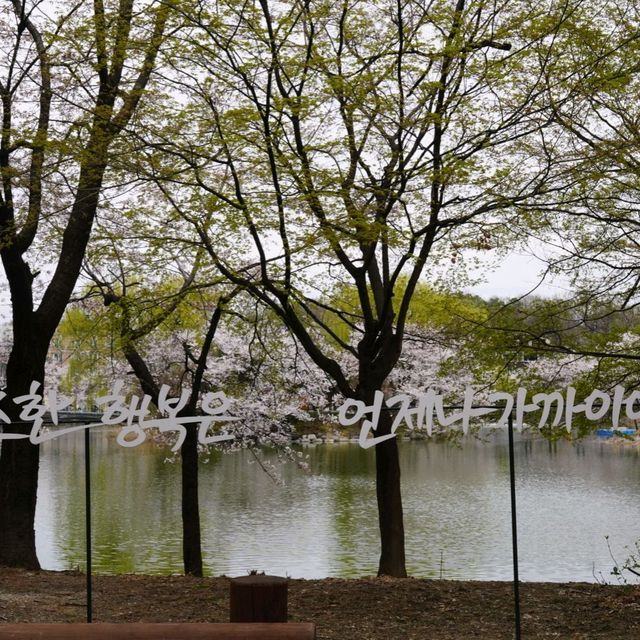 벚꽃터널이 있는 산책코스