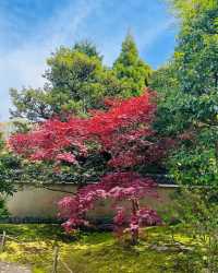 best planned gardens in japan