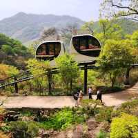 HWADAM BOTANIC GARDEN 관중