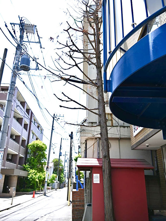 【一本檜稲荷神社（境外末社）/東京都】荒廃した本社とは正反対の綺麗な神社
