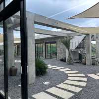 🏡🌳제주 산방산 카페 유채꽃 5월 명소 소색채본
