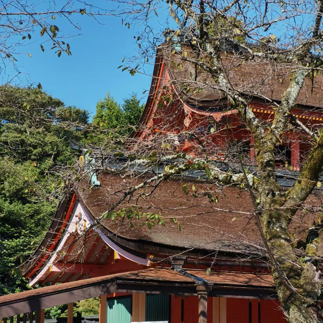 「日枝神社」神秘禪意