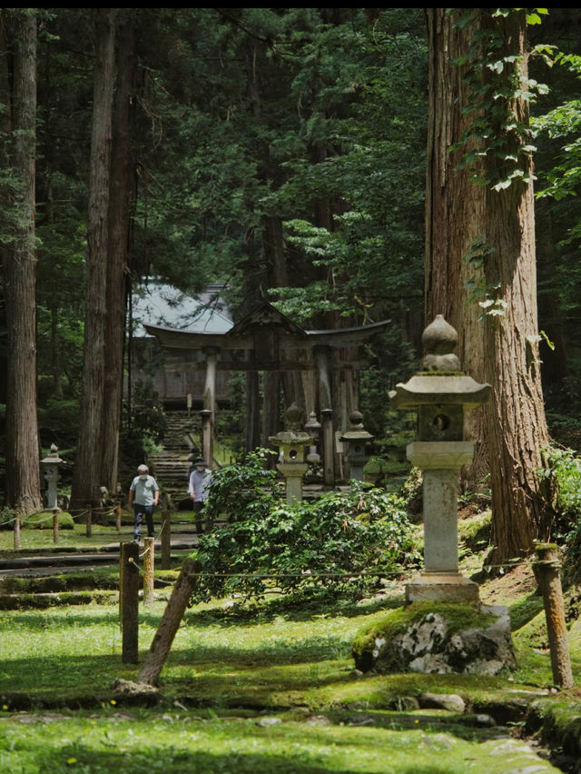 【福井】創建717年🕰 その歴史を物語る佇まいをした神社を紹介🔍