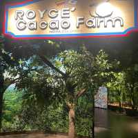 Royce’ chocolate world 