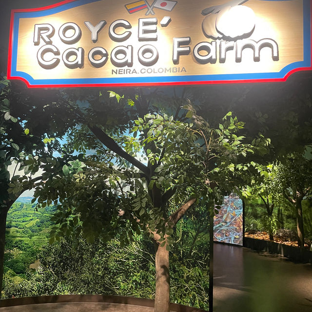 Royce’ chocolate world 