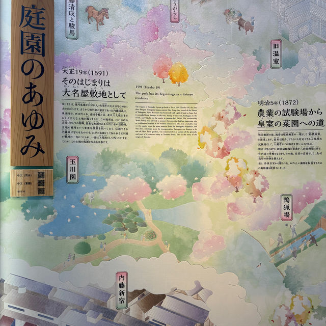 Tokyo with late sakura bloom