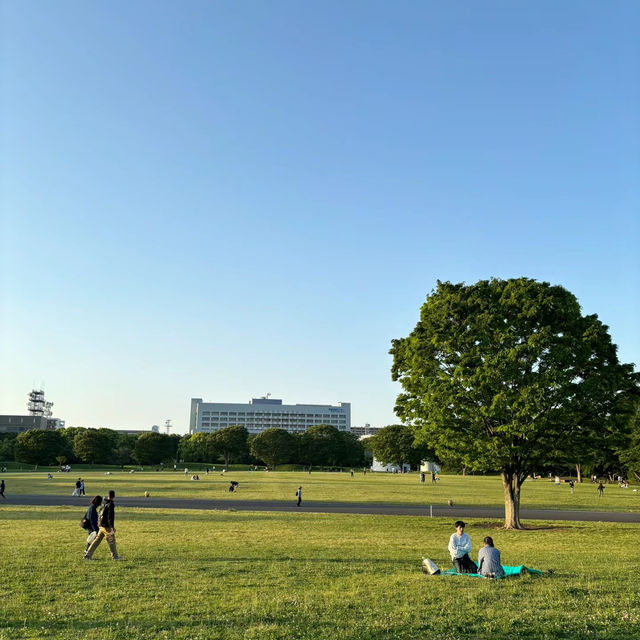 南流山中央公園：壯麗湖泊、多元休閒設施，吸引遊客和居民