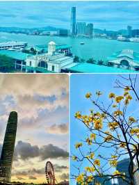 【中環】中環海濱、香港摩天輪：草坪上郊遊野餐，摩天輪上欣賞晚霞