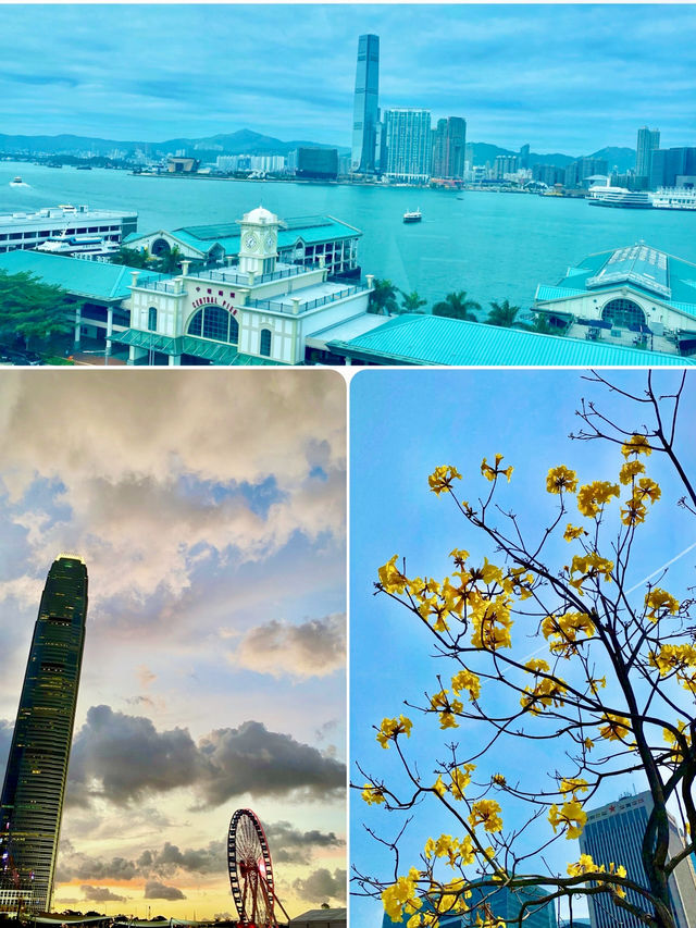 【中環】中環海濱、香港摩天輪：草坪上郊遊野餐，摩天輪上欣賞晚霞