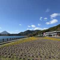 四季花海「池田湖」