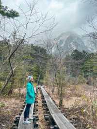 เดินเทรลในป่าสุดโรแมนติกที่ Kamikochi🌿❄️