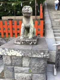 鶴岡八幡宮的莊嚴與美麗：探索鎌倉的靈魂