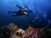 เรียนดำน้ำลึกกับ Koh Tao Scuba Club