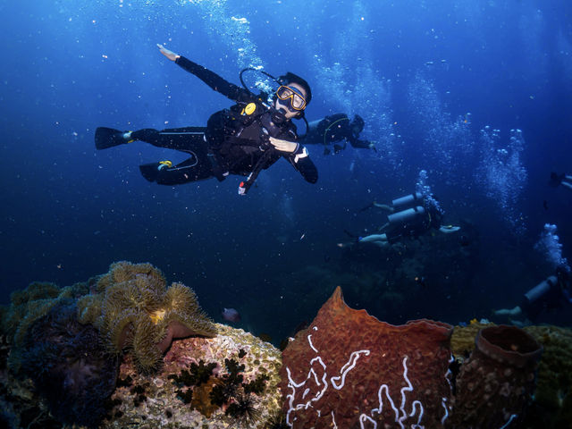 เรียนดำน้ำลึกกับ Koh Tao Scuba Club