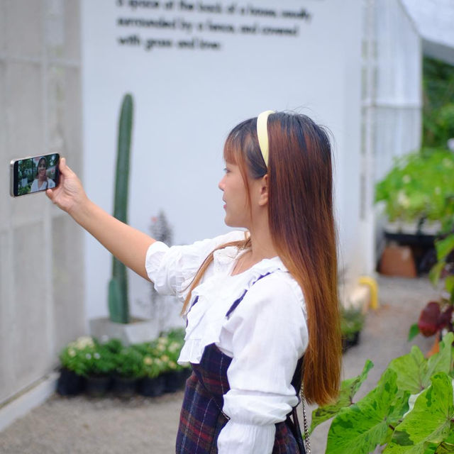 ✨ คาเฟ่ใหม่สุราษฎร์ Backyard Cafe x TCT