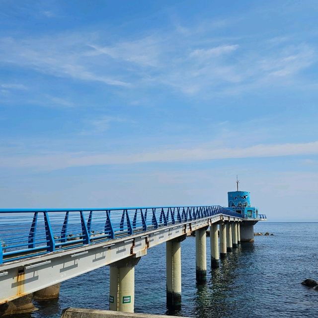 신비의 섬, 울릉도🏝 가는법