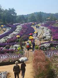 Goseokjeong Flower Garden 