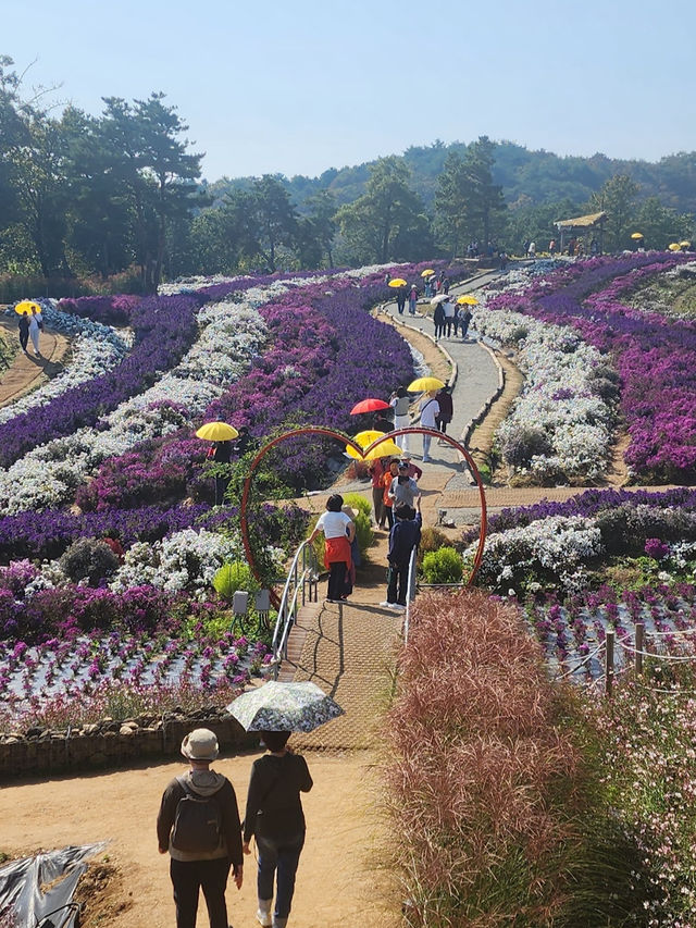 Goseokjeong Flower Garden 