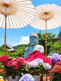 ꕤ大和三大観音 あぢさゐ回廊 × 壷阪寺ꕤ୭*