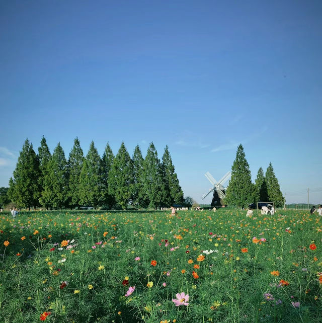 荷蘭公園：綠意盎然