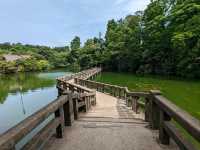 日本東京-夏日消暑好去處：井之頭恩賜公園