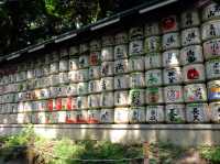 【🇯🇵東京】明治神宮：沒去過就不要說去過東京了‼️
