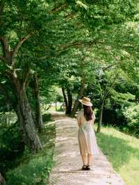 경남 사진찍기 좋은 여행지, 고성 장산숲🌳