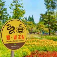 경주의 비밀의 숲, 천년숲정원