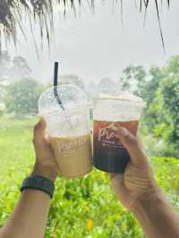 Pronto Coffee @ Chiang Dao 