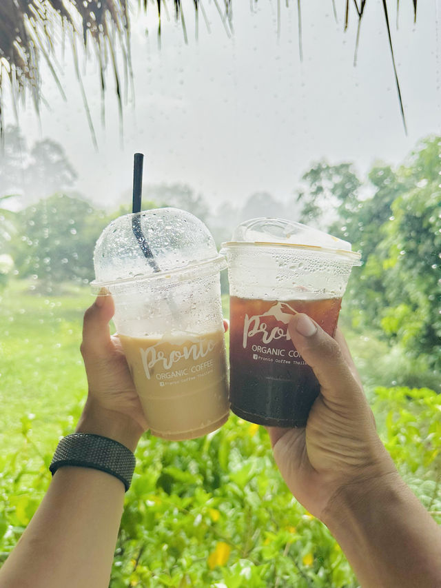 Pronto Coffee @ Chiang Dao 