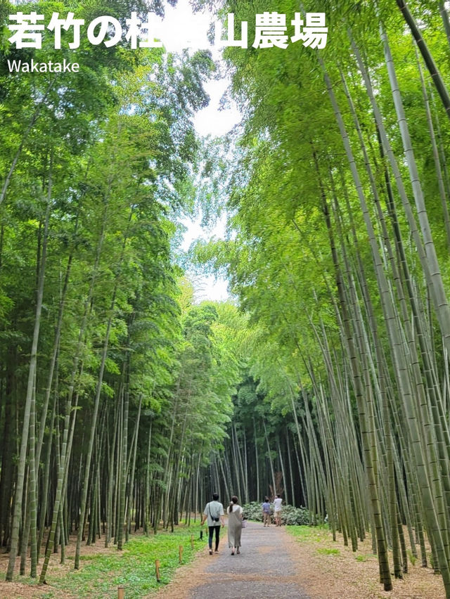 【のんびりドライブ🚗若竹の杜🎋】