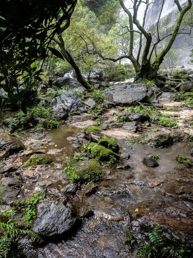 ชุ่มฉ่ำหน้าฝน ที่น้ำตกคลองลาน 🌿💦
