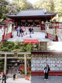 เที่ยว Nikko เมืองมรดกโลกในวันใบไม้เปลี่ยนสี 🍁⛩️