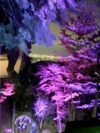 〜神奈川県〜夜景と紅葉両方楽しめるのはここだけ！大山阿夫利神社ライトアップ