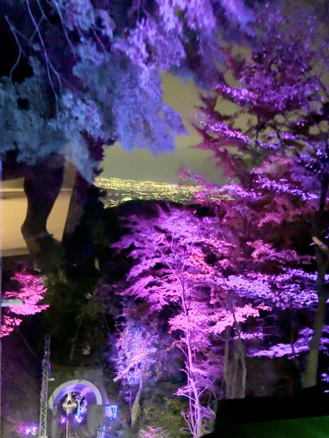 〜神奈川県〜夜景と紅葉両方楽しめるのはここだけ！大山阿夫利神社ライトアップ
