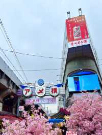 東京　東京観光　絶対に外せない観光スポット　アメヤ横丁に行ってきた！