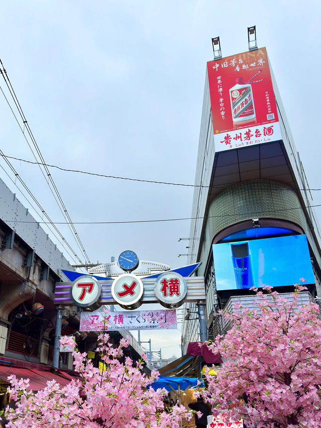 東京　東京観光　絶対に外せない観光スポット　アメヤ横丁に行ってきた！