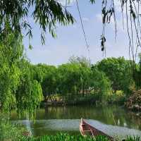 星湖濕地公園：絕佳自然勝地，令人陶醉的樂趣
