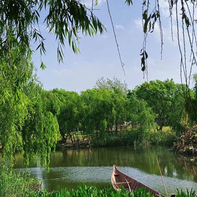 星湖濕地公園：絕佳自然勝地，令人陶醉的樂趣
