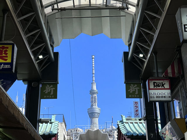 日本東京🇯🇵