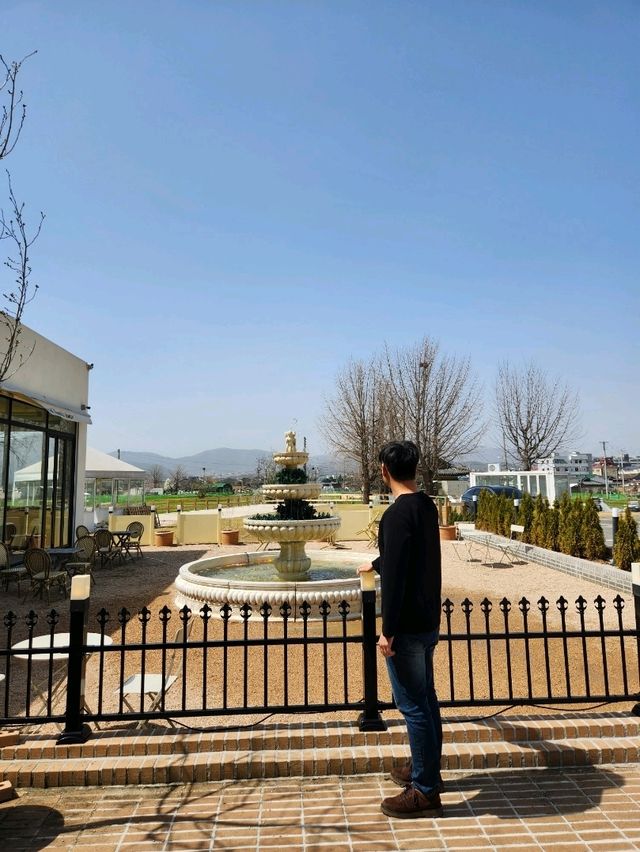 경주가면 추천하고 싶은 카페 어마무시👍