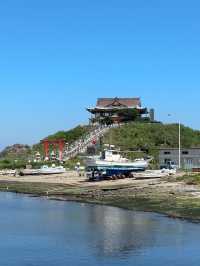 【青森】ウミネコが住み着く島🕊️