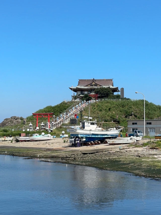 【青森】ウミネコが住み着く島🕊️